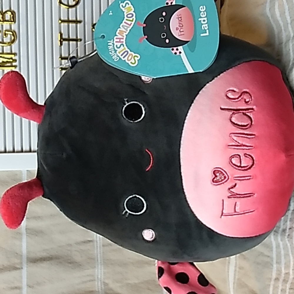 Ladee Ladybug "Friends" Original Squishmallows 10 x 9 inches 5.2.2022 Squishdate - Picture 5 of 5